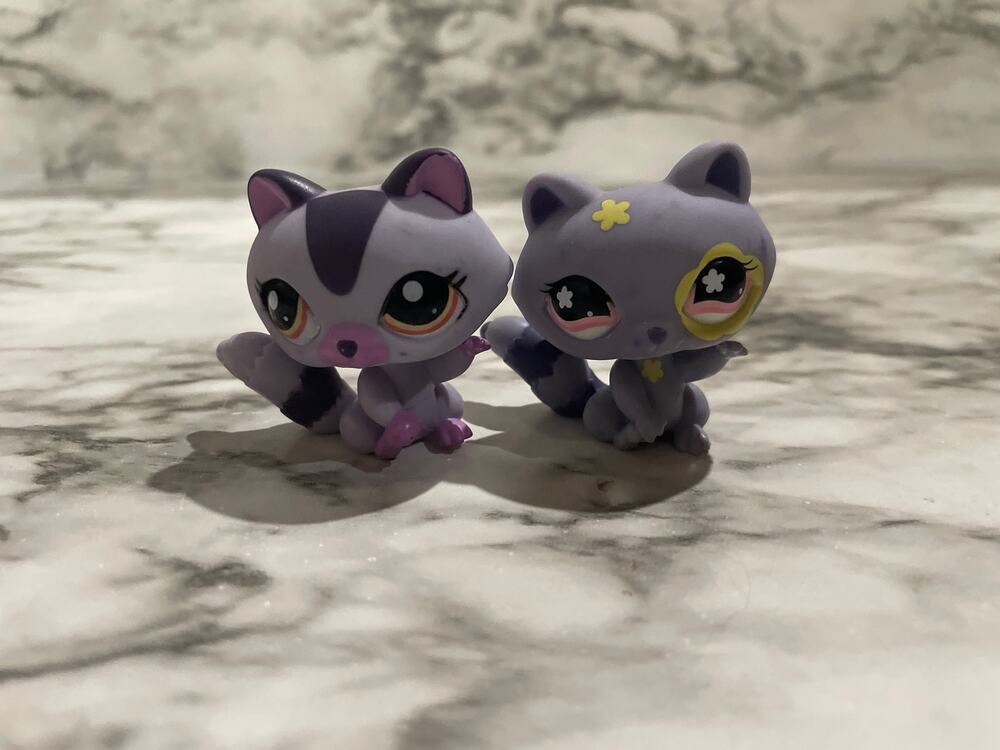 Littlest pet shop raccoon bundle